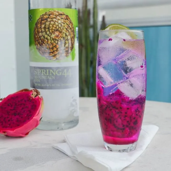 Dragon Fruit Collins