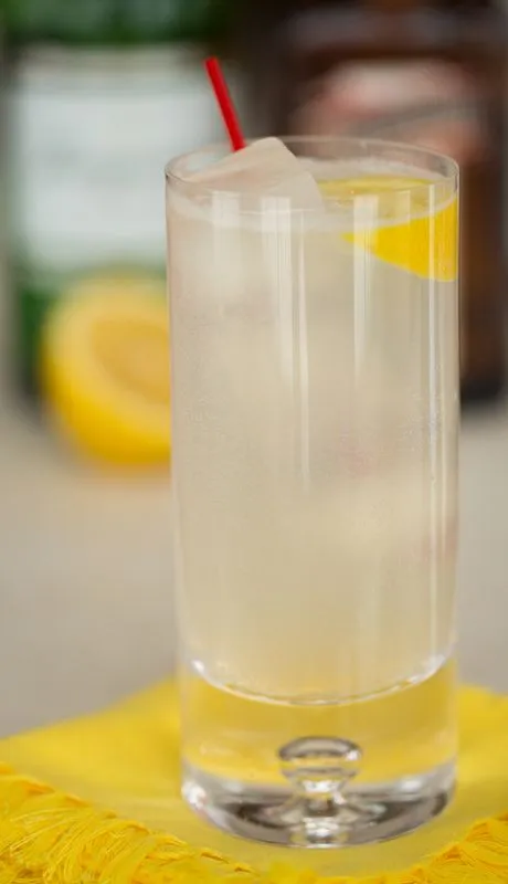 Gin Sling