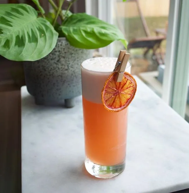 Holly Jolly Gin Fizz